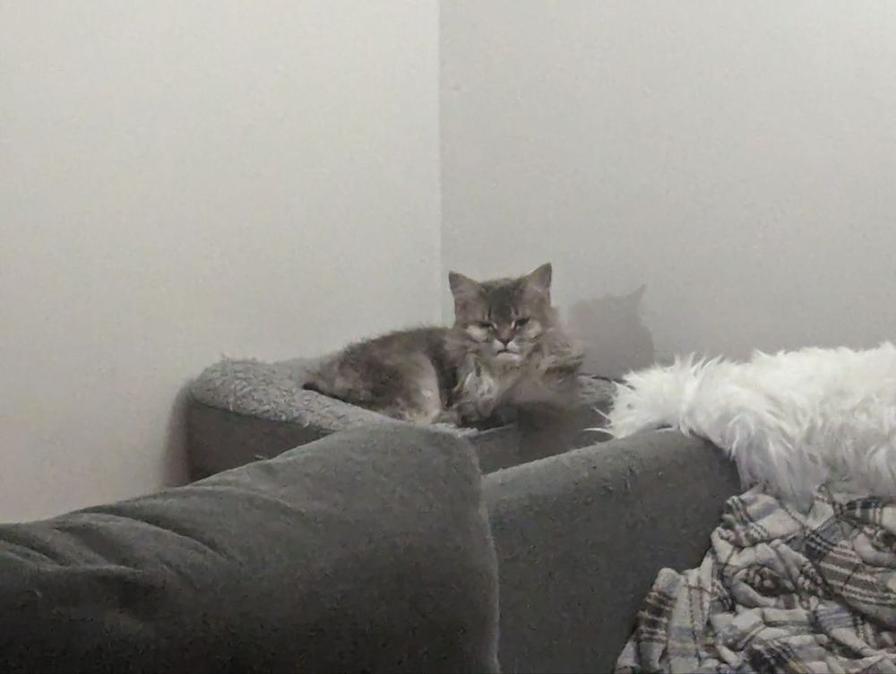 Lastly, she looks more sleepy and more angry at the same time. Undebatably evil