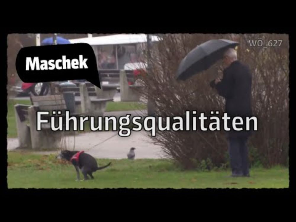 Maschek - Führungsqualitäten WÖ_627