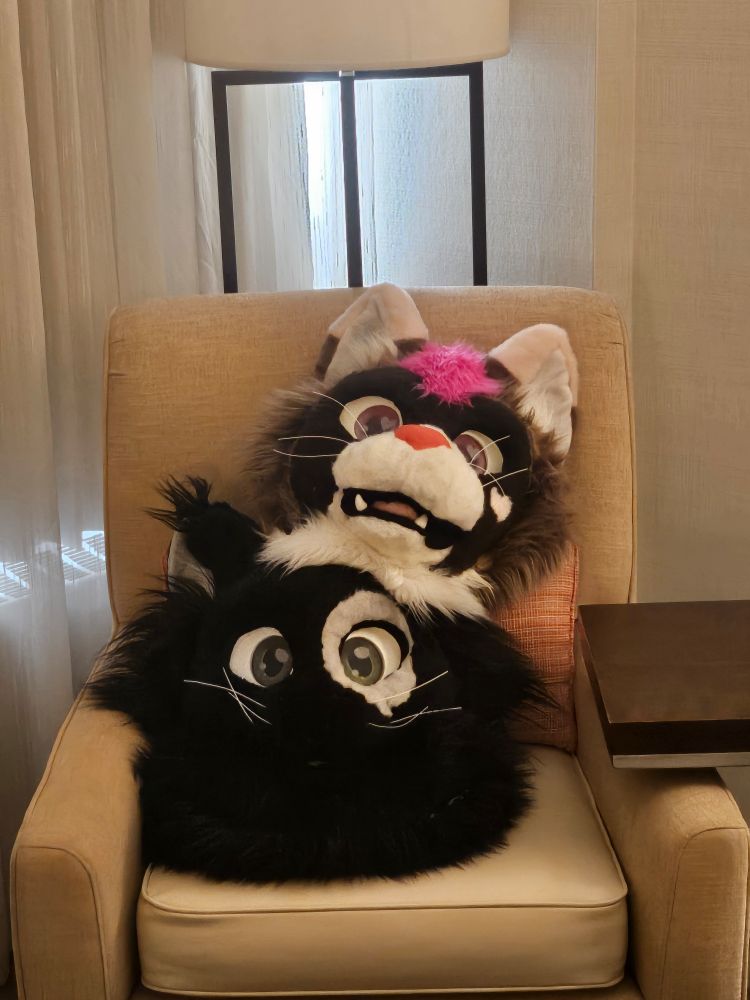 My fursuit heads, Spotz (bottom) and pudding (top)