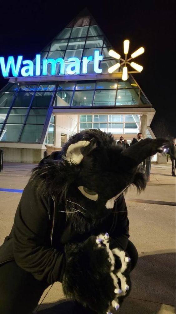 Me in my lynx Fursuit named spotz slav squatting and praying to the Walmart pyramid in Vancouver.

Photo taken by Klace at VancouFur 2022
