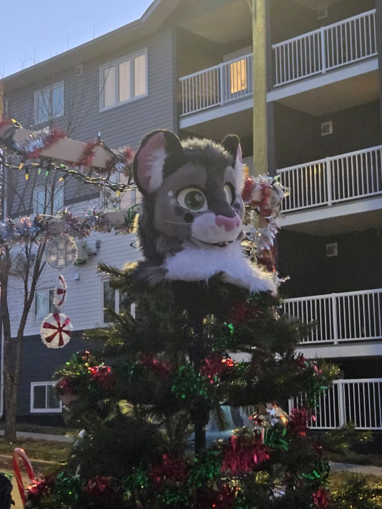 The fursuit head of Toasty the snow leopard on top of a Christmas tree.