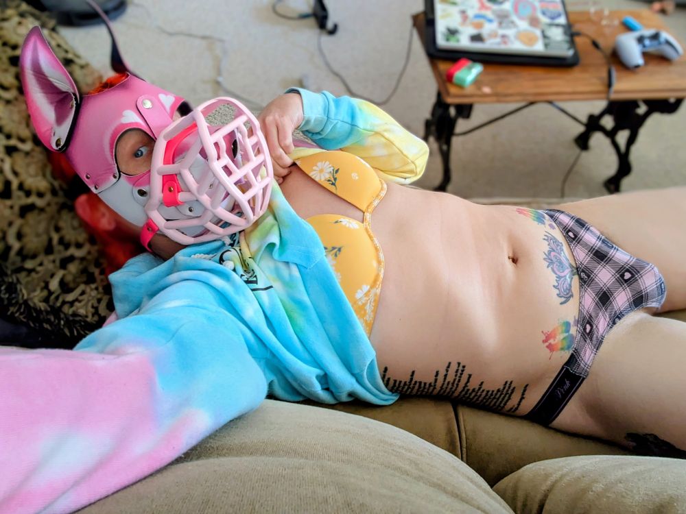 Tempest the puppy reveals her tummy and bulge hoping to entice other pups to bite and claw at her