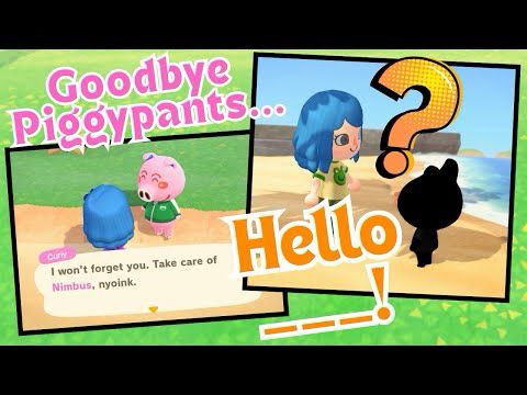 Post 3 Stars Cleanup and Making New Friends on Nimbus!