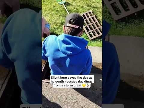 He heard the faint chirps and didn’t hesitate this is what real kindness looks like #hero #animals