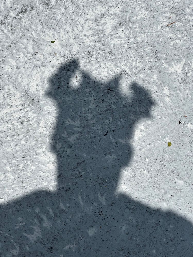 Shadow of bat ears o. Head