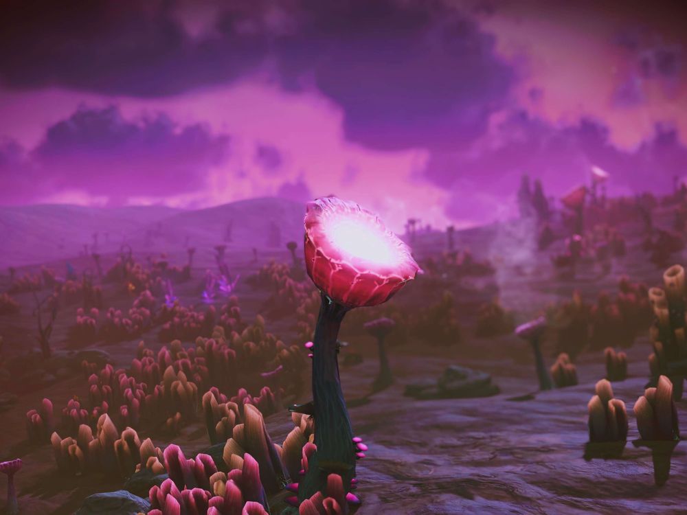 Image from No Man's Sky: Featured Screenshot by vesperarch