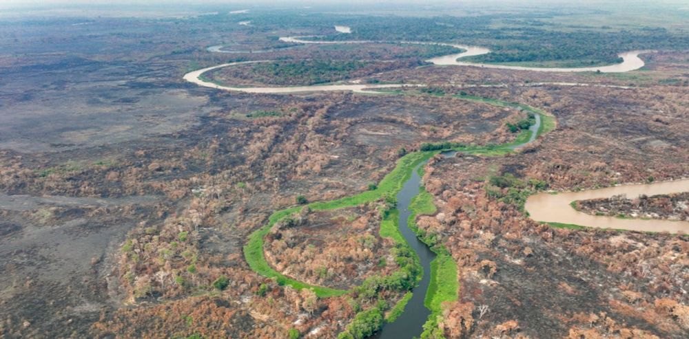 Perda da cobertura natural deixa Brasil mais vulnerável à crise climática