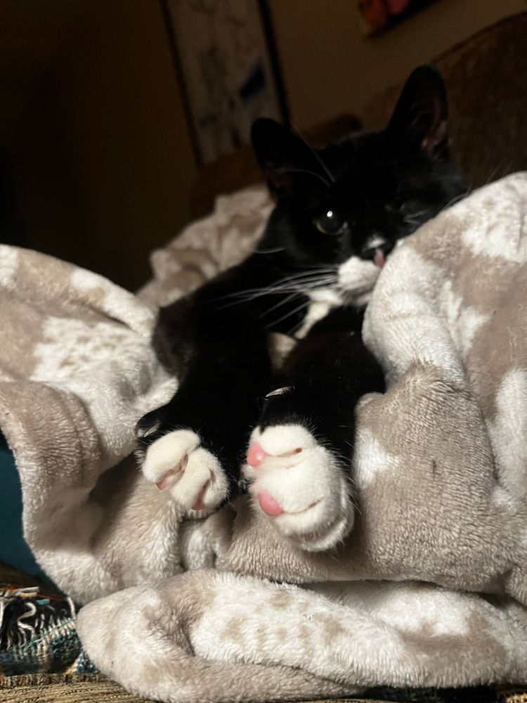 Lil spud catting like a spud