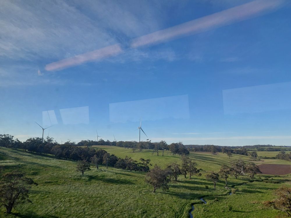 Wind turbines above a green paddock filled with trees. Reflection from train windows visible in bluesky