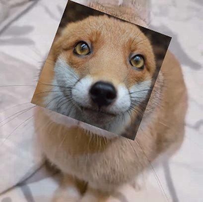 Comment image