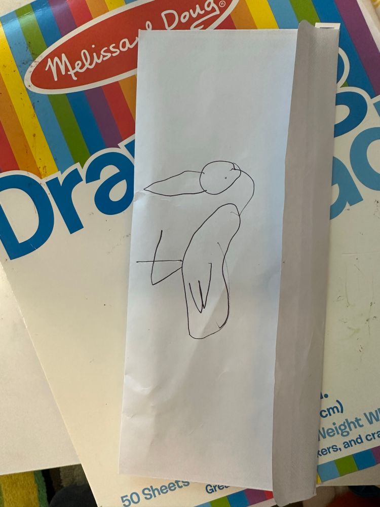 A kid's line drawing in pen on an envelope. The photo is rotated 90° so it is uppy-downy instead of side to side, which might have made it easier to decipher. 

It is a drawing of a flamingo, which is obvious to me, but maybe only bc i know the artist so well?