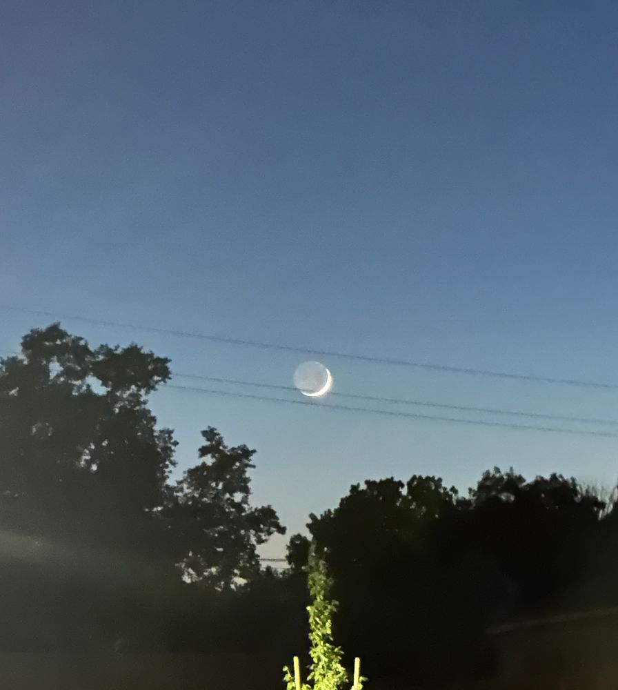 The moon, barely waxing crescent, fitting perfectly between some electric lines