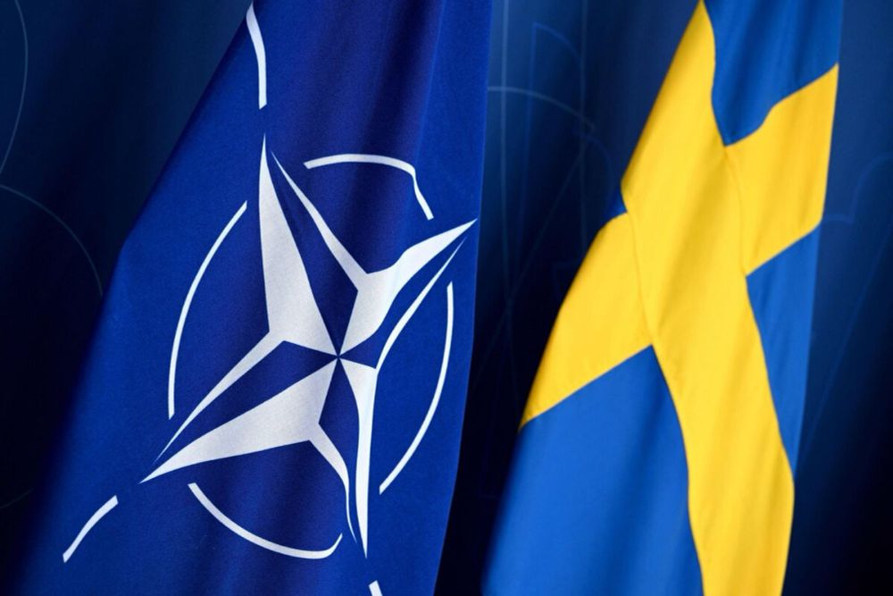 Turkish Parliament Votes to Ratify Sweden’s Entry Into NATO