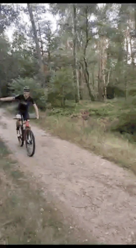 a man riding a bike down a dirt road in the woods