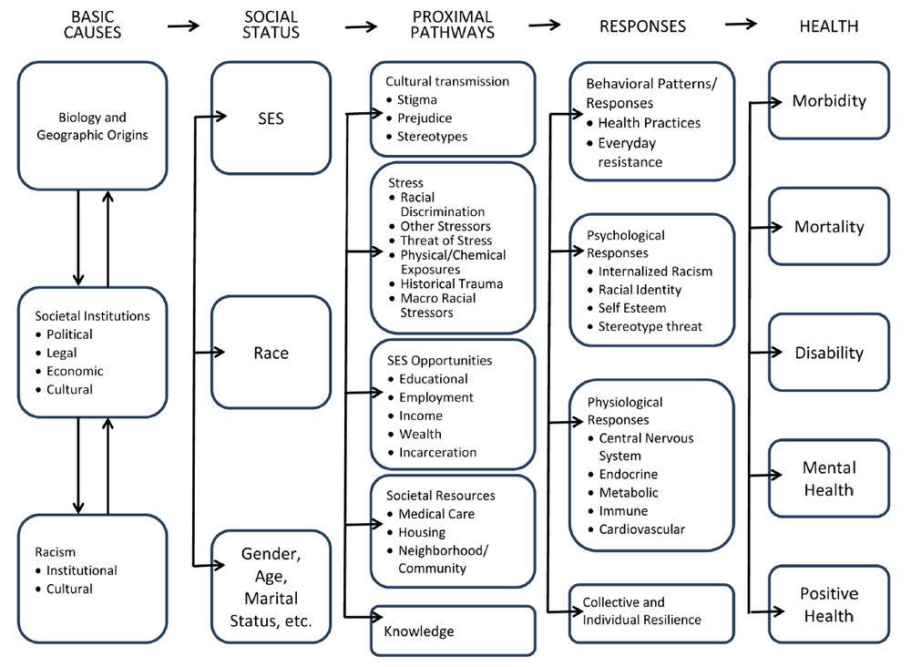A Framework for the Study of Racism and Health