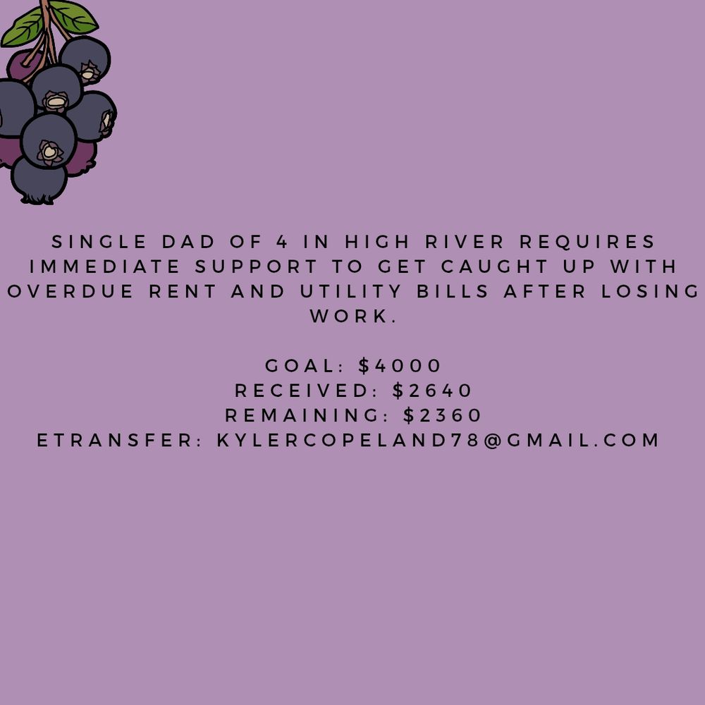 Light purple back ground with hanging saskatoon berries on the top left hand side. In black letters a financial request for housing, includes a goal, recieved amounts, remaining amount and an etransfer to send funds to