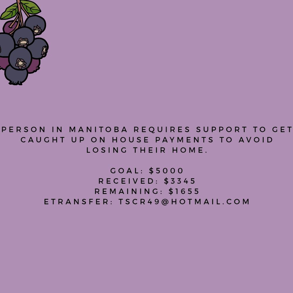 Light purple back ground with hanging saskatoon berries on the top left hand side. In black letters a financial request for housing, includes a goal, recieved amounts, remaining amount and an etransfer to send funds to
