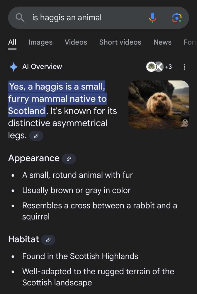 A screenshot of Google's AI Overview answer to the question "is haggis an animal". It says "Yes, the haggis is a small, furry mammal native to Scotland" and goes on to give the typical "asymmetrical legs" details.
