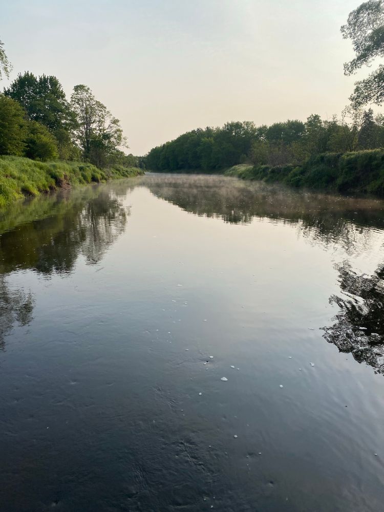 Standing in the middle of the river.