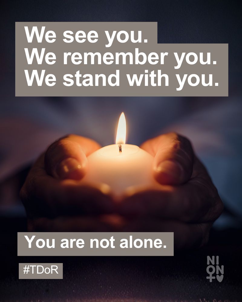 We see you.
We remember you.
We stand with you.
You are not alone.

#TDoR 
NION logo