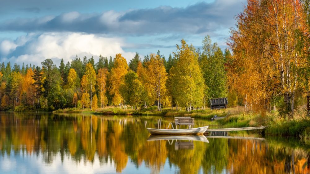 Ruska: experience Finland's magnificent autumn foliage