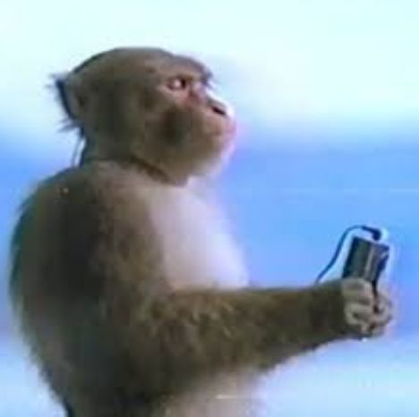 Monkey listening to music meme, Sony ad