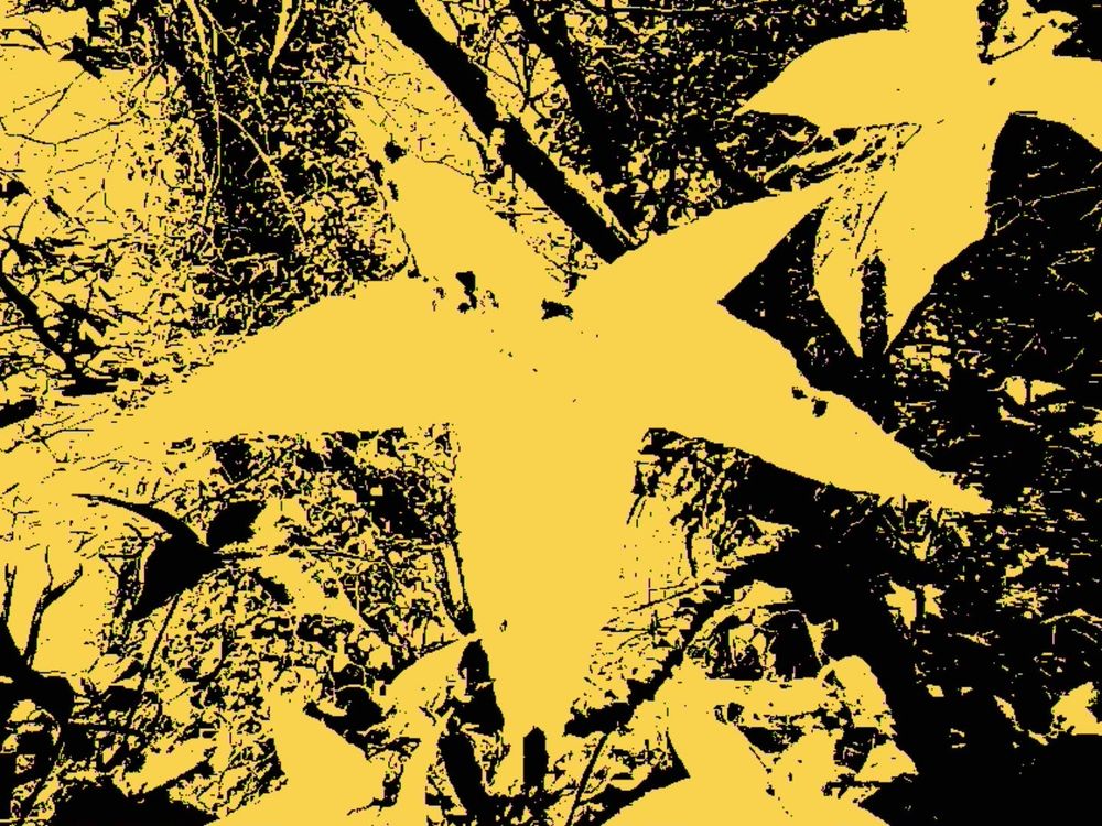 A leaf, star-shaped, as a solid object 