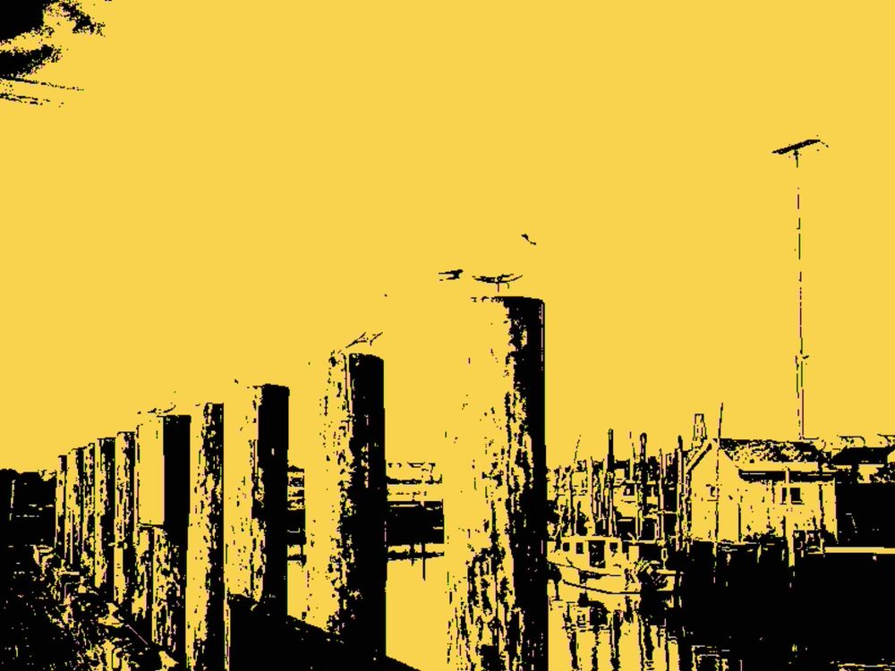 Seagulls sit atop piles at a harbor