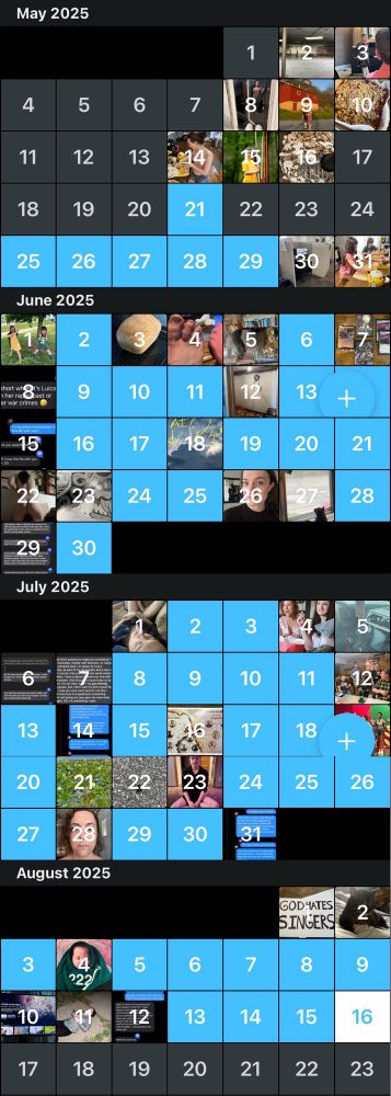 A snapshot of journal entries displayed on a calendar from May until August.