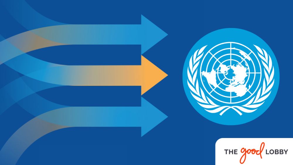 UN Pact for the Future adopted