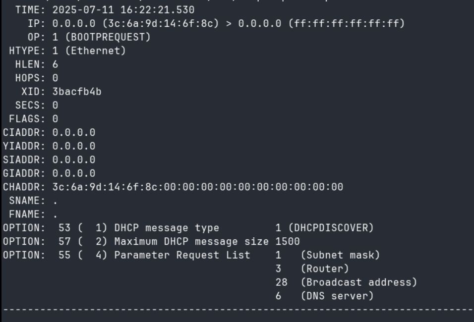 terminal output that shows DHCP information including options