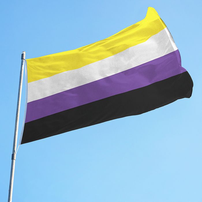An Non-binary Pride flag (yellow, white, purple, and black) is on a flagpole and flying in the wind against a blue sky.