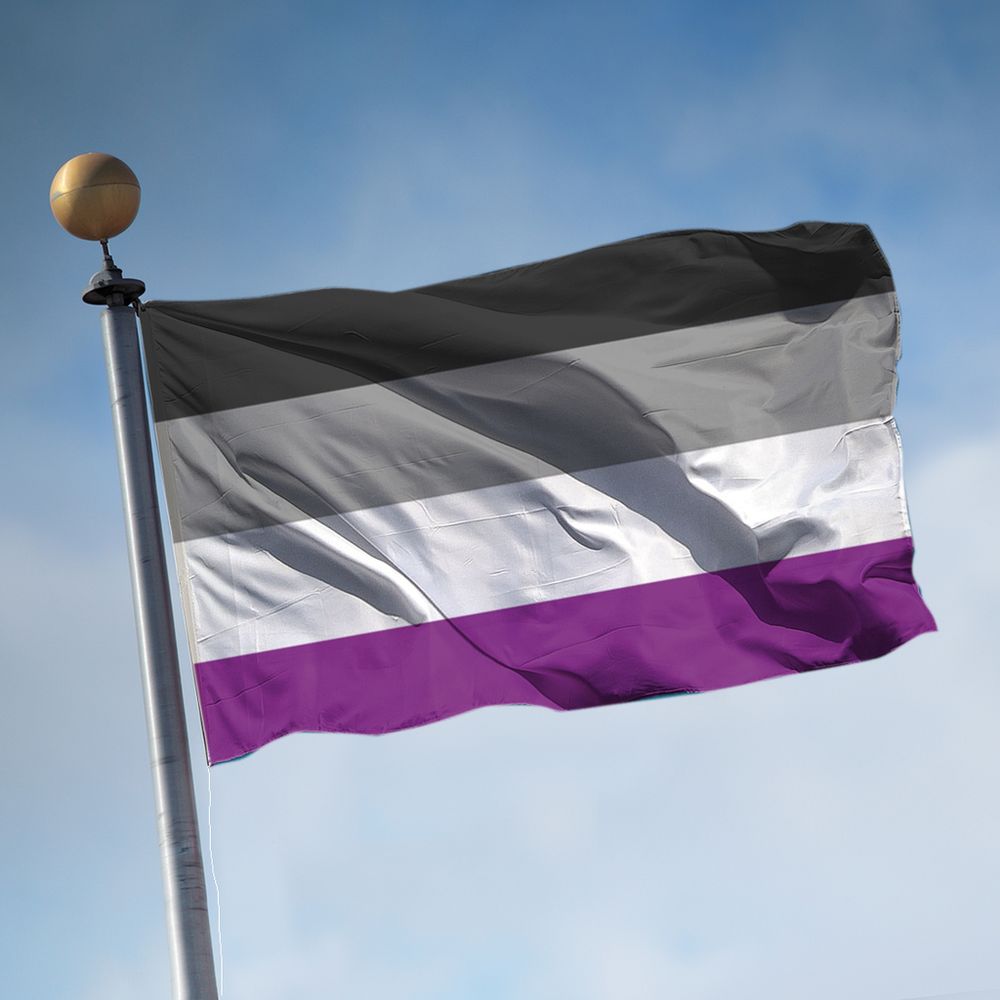 An Asexual Pride flag (black, gray, white, and purple) is on a flagpole and flying in the wind against a blue sky.