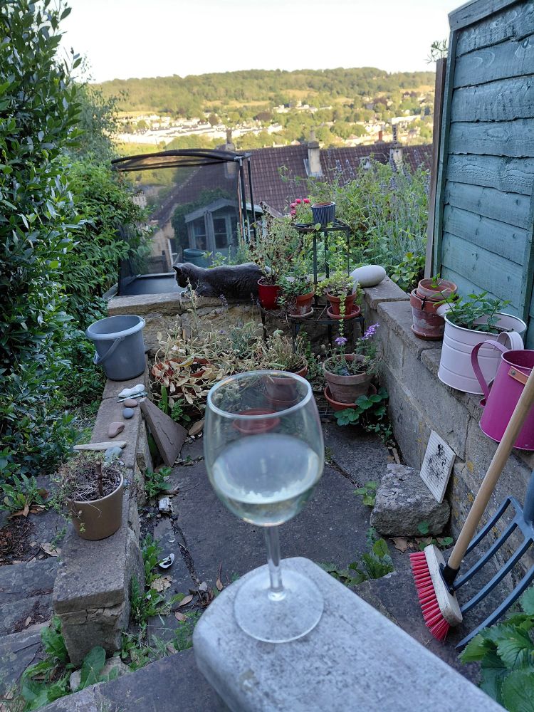 A view from my patio chair, wine in the forground, resting grey cat, sunlit hills of Bath in the distance.