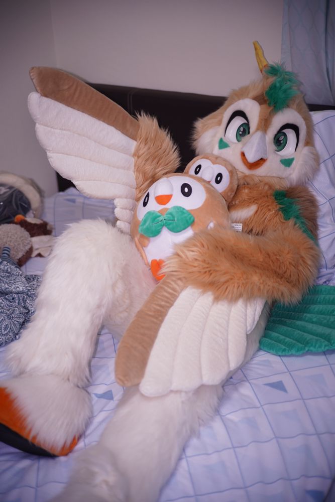 Rowlet day!! ^v^