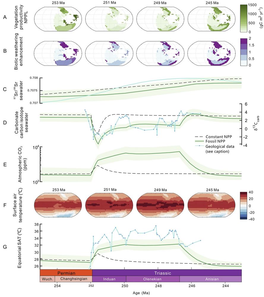 Figure from the paper showing our model results when considering the tropical vegetaiton collapse - a long-high temperature period following the PTME