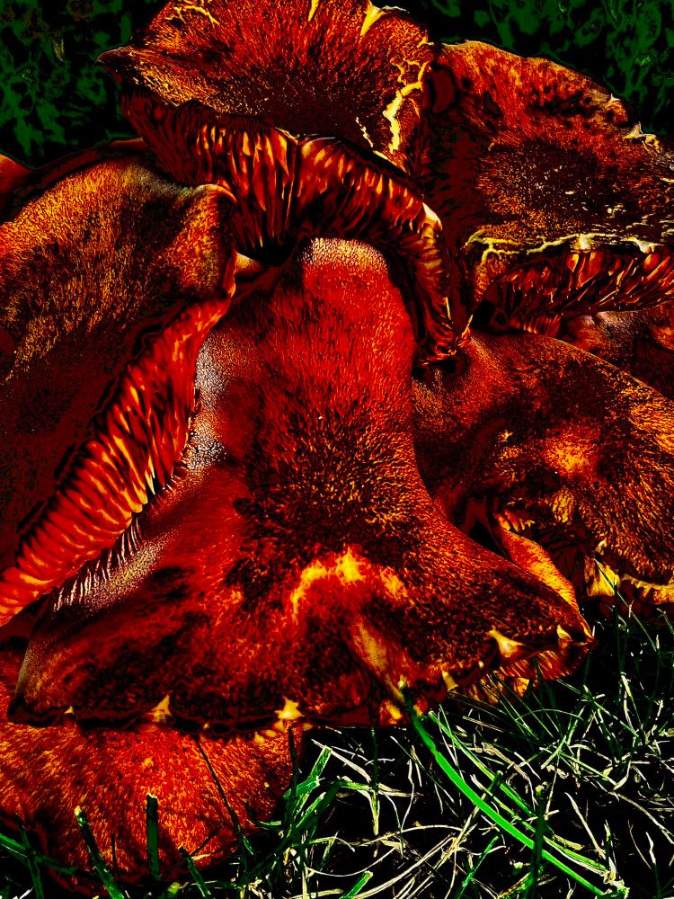 Gooey Icky Stinky Mash Ruums