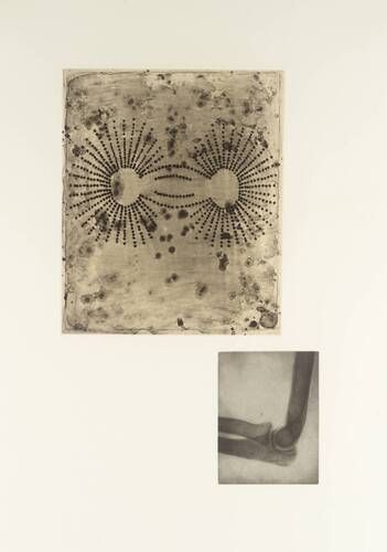 Presented by the American Fund for the Tate Gallery, courtesy of a private collector 2000