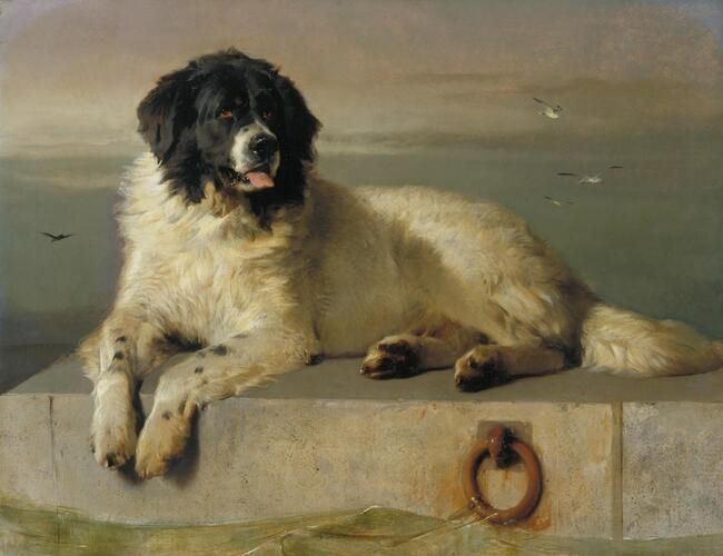 Bequeathed by Newman Smith 1887