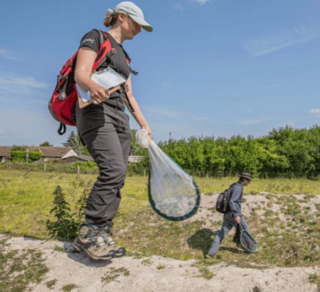 Researchers Rosa Pollard Smith and Prof Ed Turner monitoring insects at one of the sets of banks at the Wildlife Trust BCN’s Pegsdon Hills reserve. Photo by Ben Andrews