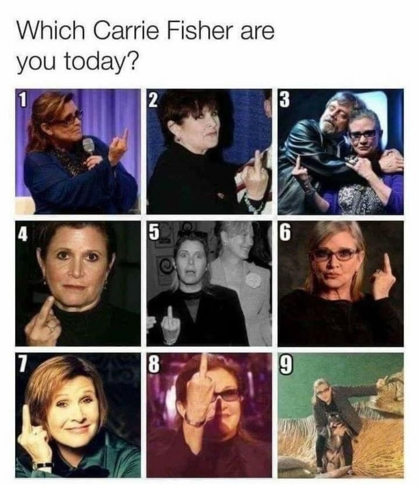 Which Carrie Fisher are you today?
Nine different pictures of Carrie Fisher flipping someone off.