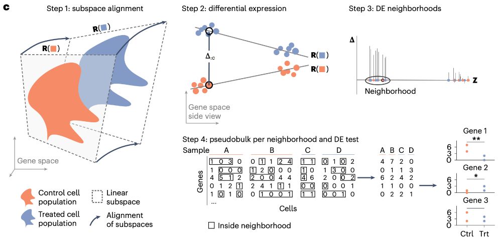 Overview of the LEMUR steps: (1) subspace alignment, (2) differential expression, (3) DE neighborhoods, (4) pseudobulking.