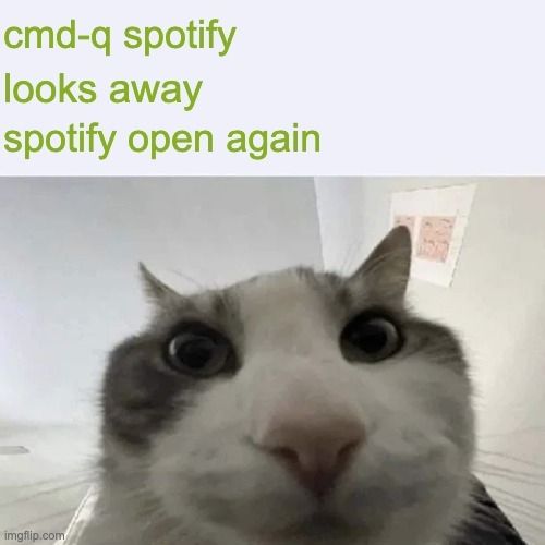 "cat looking inside" meme.
text:
cmd-q spotify
looks away
spotify open again