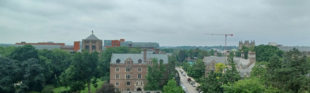 View from Hatcher Graduate Library at University of Michigan's Ann Arbor campus.