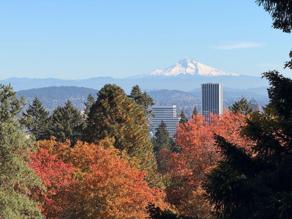 Beautiful Portland decidedly not burning down from the Japanese tea garden overlooking the city with snow capped Mt. Hood in the distance. 