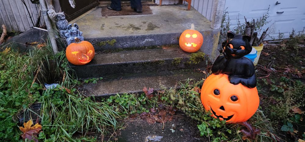 A porch with a plastic pumpkin with a black cat on top. On the steps are two carved pumpkins with faces