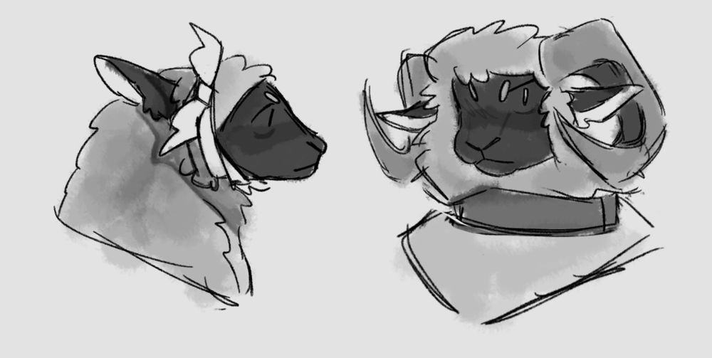 the image shows Suitcase from Inanimate Insanity if she was a sheep. Left drawing shows her sideways, hornless. Meanwhile, the right drawing is a alternate version of her with horns.