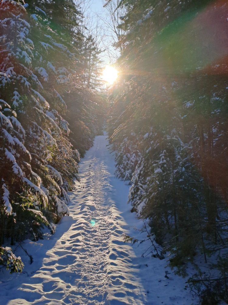 Sentier enneigé