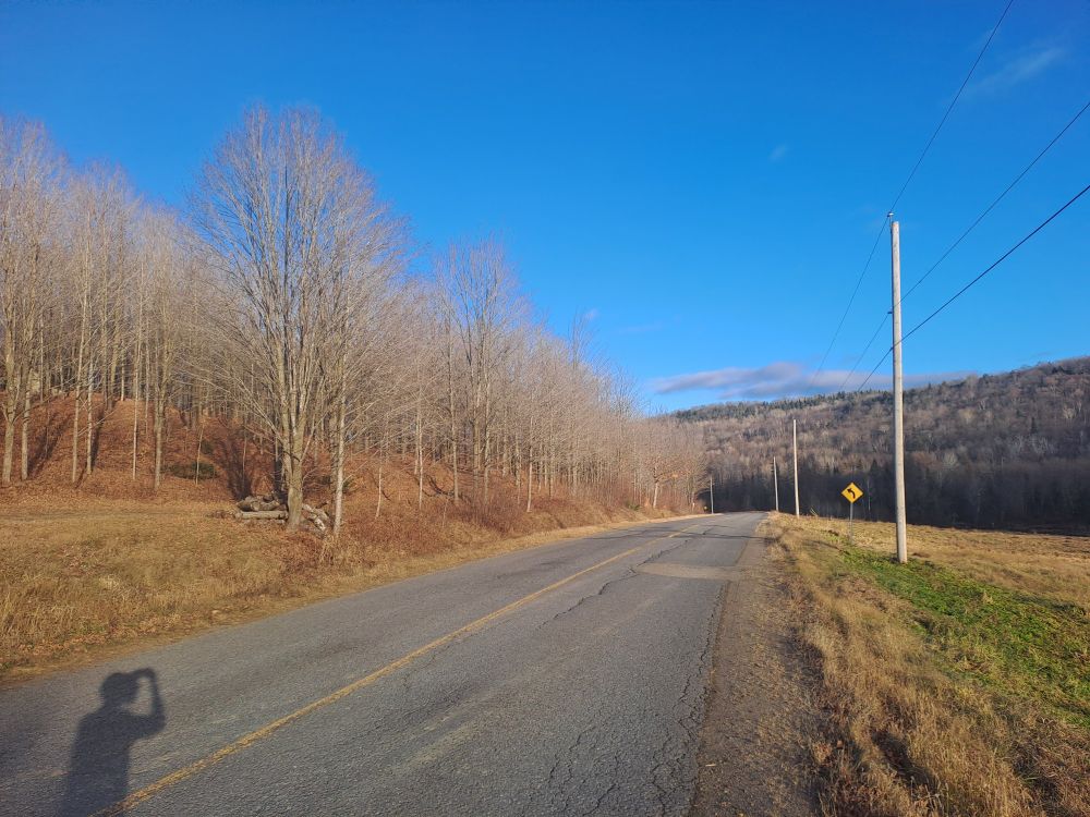 Route au milieu de la campagne sous un ciel bleu