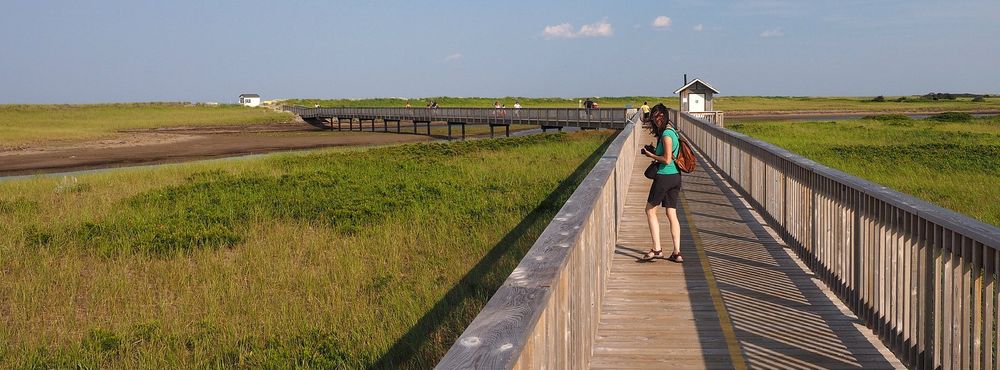 Le Nouveau-Brunswick comme on ne vous l'a sans doute jamais conté